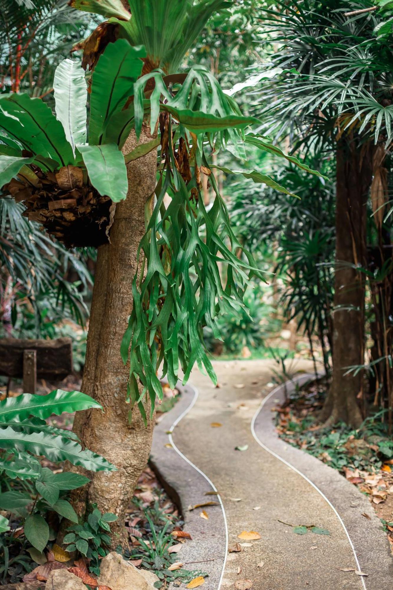 The Vatika Resort And Spa Ao Nang Екстериор снимка